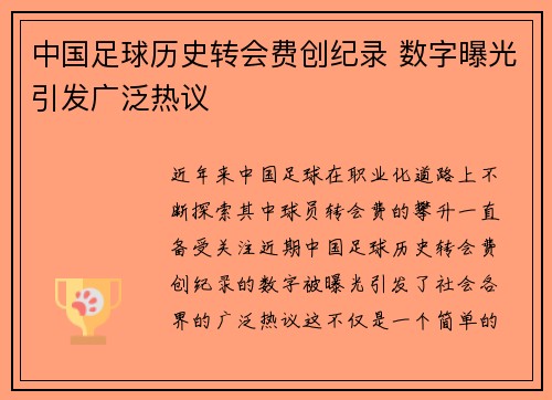 中国足球历史转会费创纪录 数字曝光引发广泛热议
